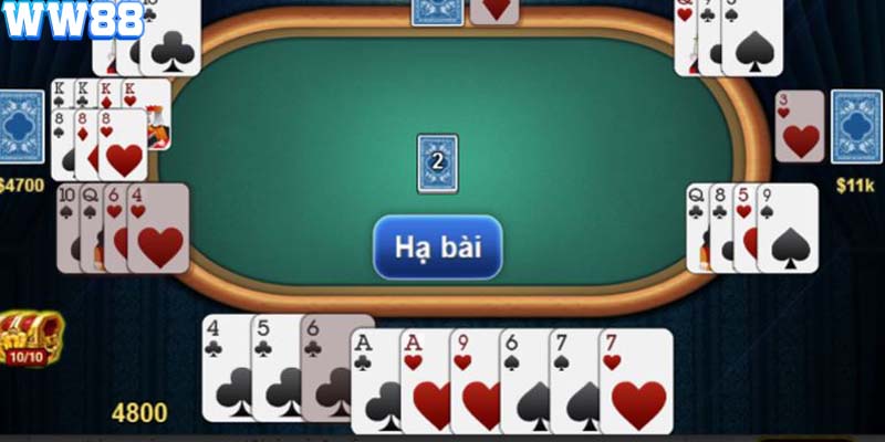 Cách chơi bài phỏm rất đơn giản, dễ hiểu ngay cả với người mới bắt đầu